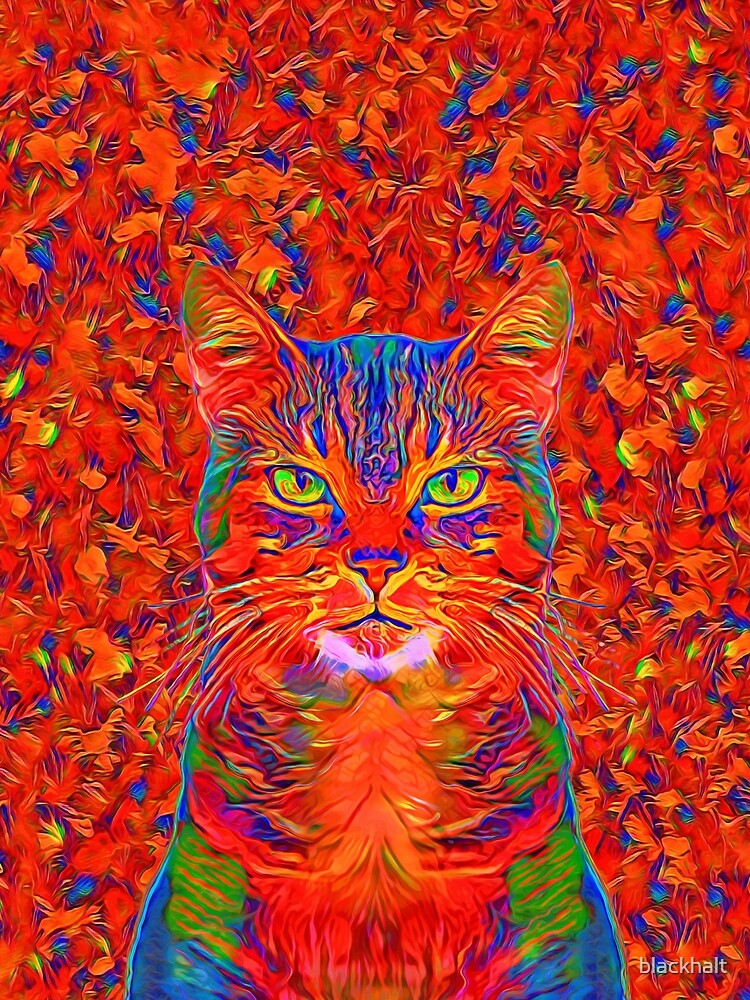 Red Cat by blackhalt