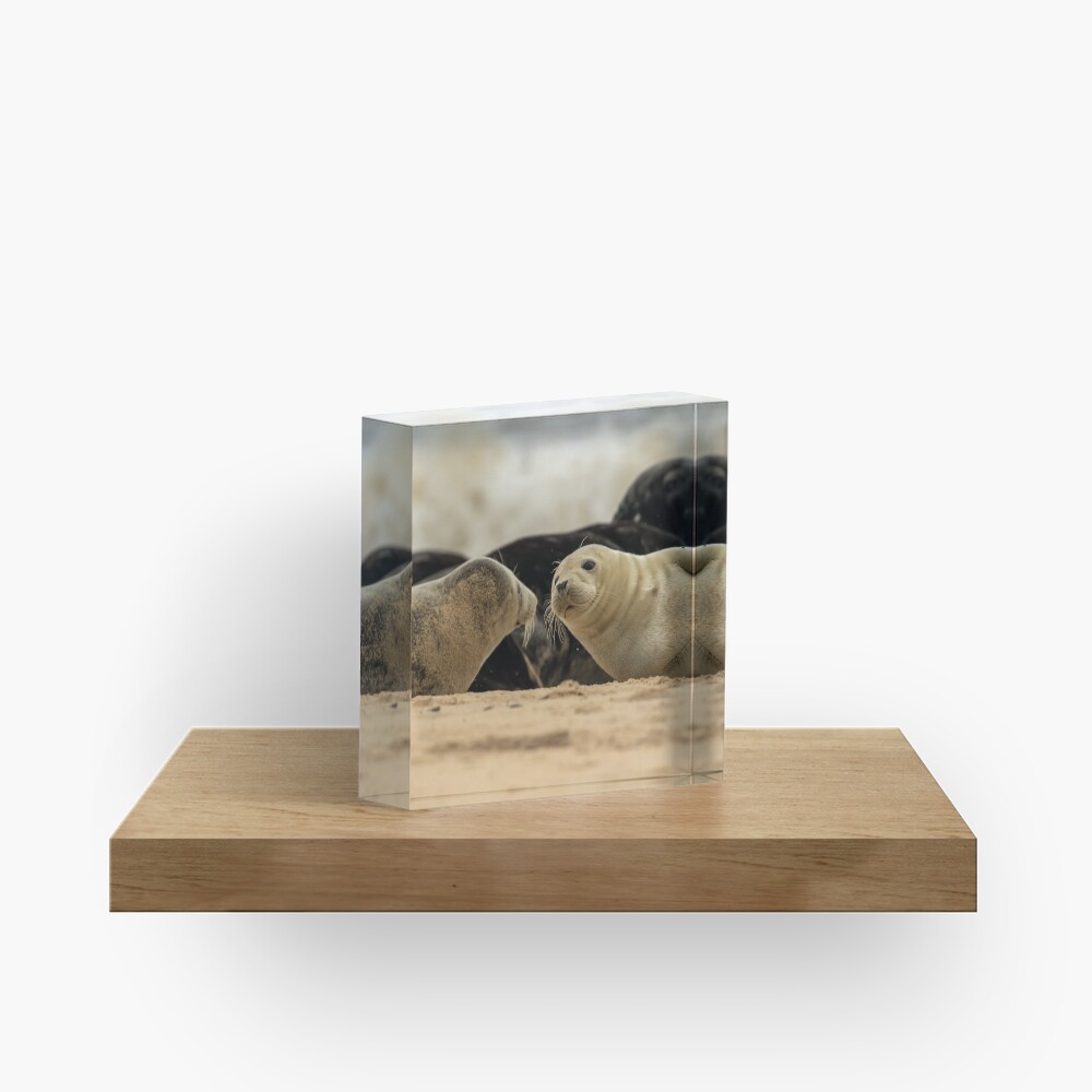 Item preview, Acrylic Block designed and sold by youngpip.