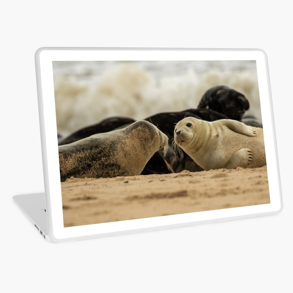Item preview, Laptop Skin designed and sold by youngpip.