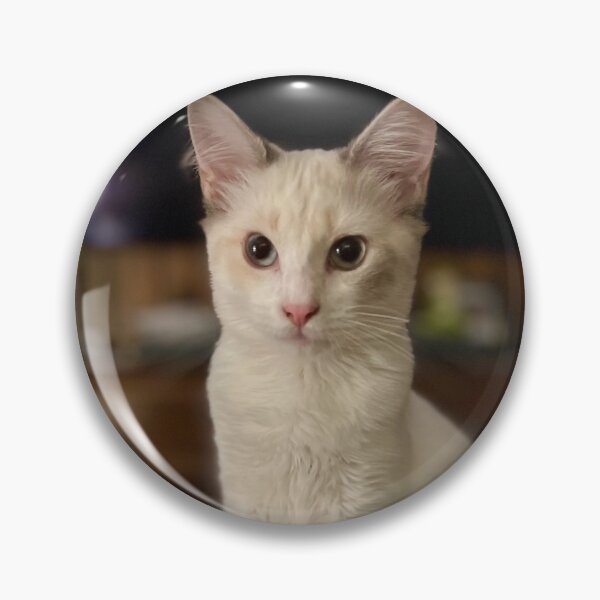 Item preview, Miss Abby - the barn cat designed and sold by Kent Burton.