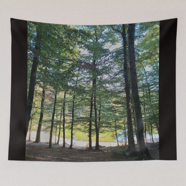 Item preview, Foresta Umbra: Ancient Trees of Gargano designed and sold by EpicVistas.