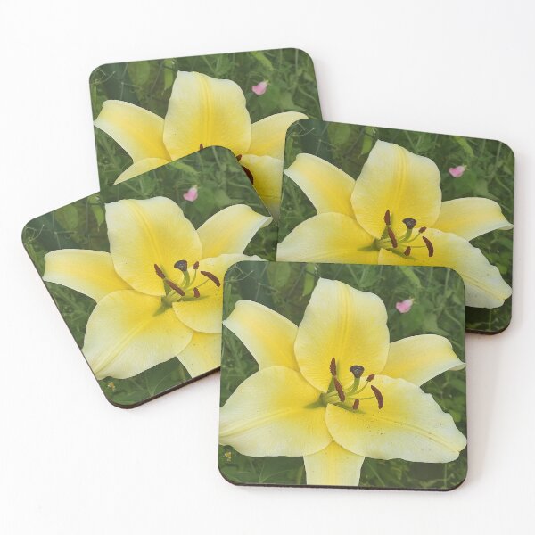 Item preview, Golden Bloom – Vibrant Yellow Lily in Full Glory designed and sold by m_photography_hobby.