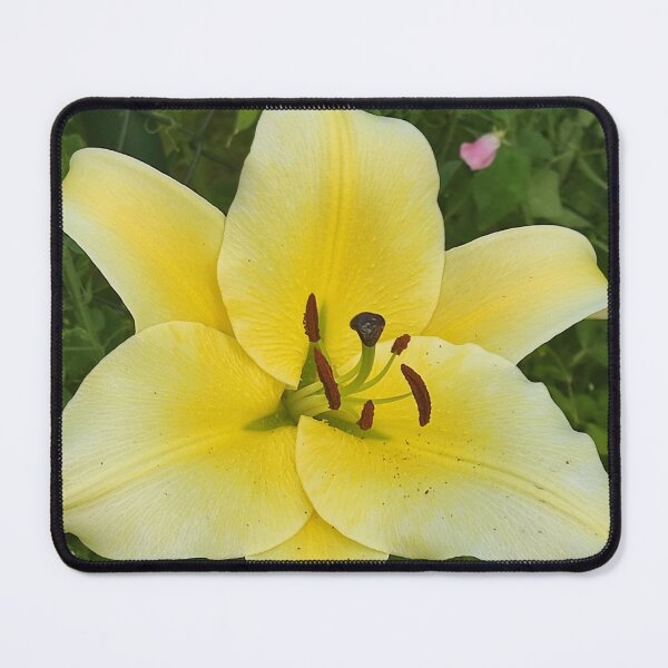 Item preview, Golden Bloom – Vibrant Yellow Lily in Full Glory designed and sold by m_photography_hobby.