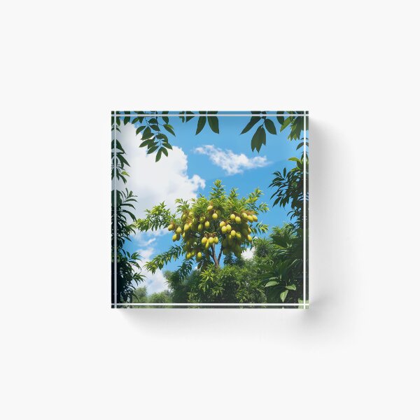 Item preview, Mango tree from low angle with ripe fruits and framed by dark green leaves designed and sold by EmeraldeaArt.