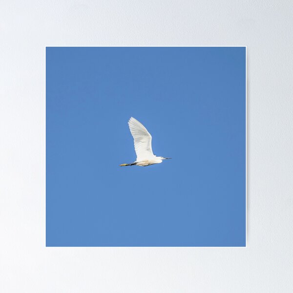 Item preview, Airone designed and sold by melonipierfrancesco_print.