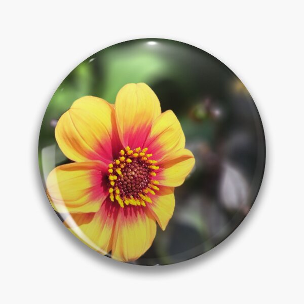 Item preview, Yellow field flower wildflowers  photography designed and sold by Coolparrotgirl.
