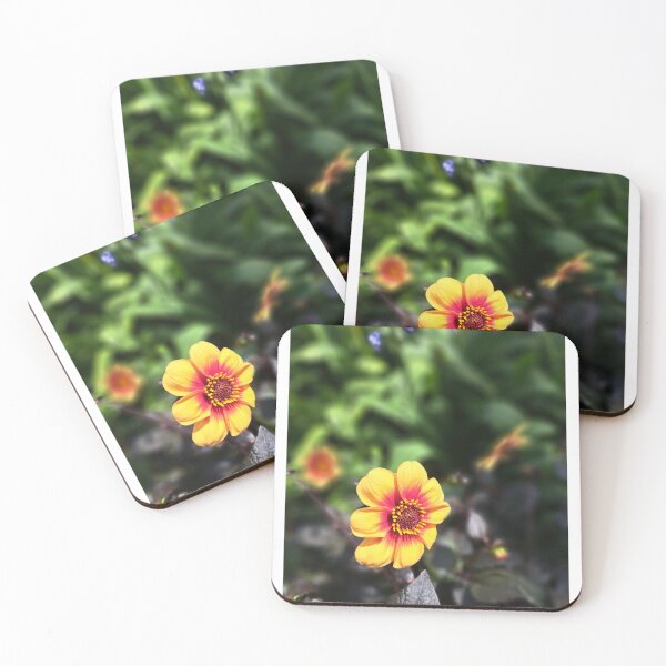 Item preview, Yellow field flower wildflowers  photography designed and sold by Coolparrotgirl.
