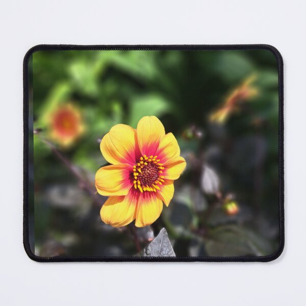 Item preview, Yellow field flower wildflowers photography designed and sold by Coolparrotgirl.