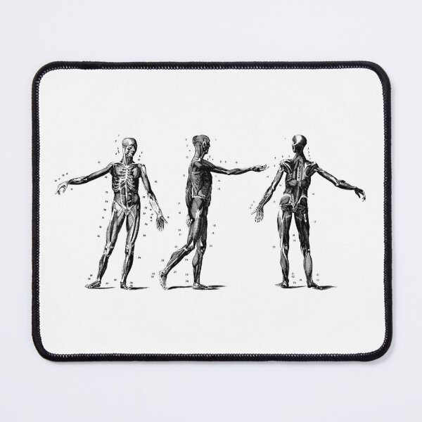 Item preview, Vintage Medical Bodies designed and sold by LovesickLobotomy.