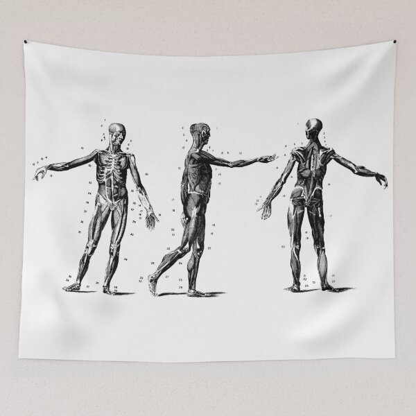 Item preview, Vintage Medical Bodies designed and sold by LovesickLobotomy.