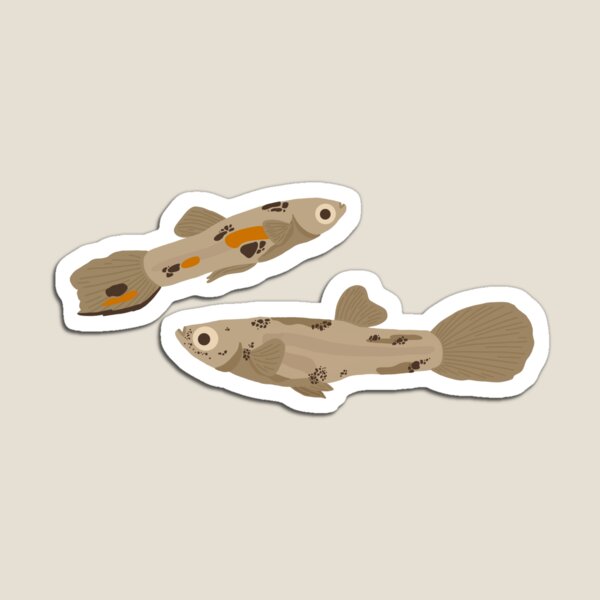 Item preview, pair of guppies designed and sold by maddiansl.