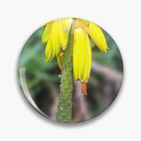 Item preview, Yellow field flower wildflowers  photography designed and sold by Coolparrotgirl.