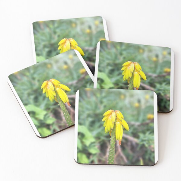 Item preview, Yellow field flower wildflowers  photography designed and sold by Coolparrotgirl.