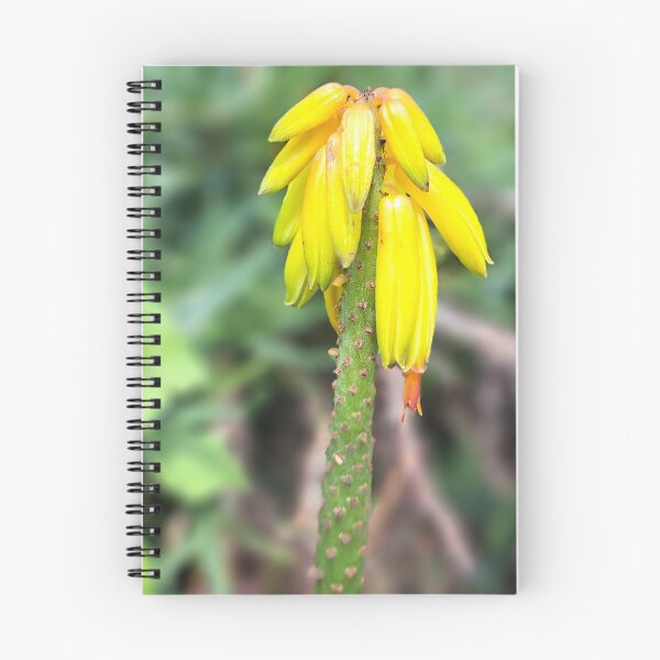 Item preview, Yellow field flower wildflowers  photography designed and sold by Coolparrotgirl.