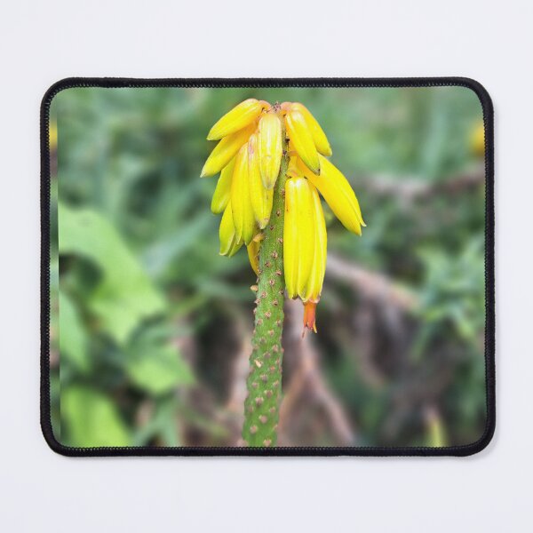 Item preview, Yellow field flower wildflowers  photography designed and sold by Coolparrotgirl.