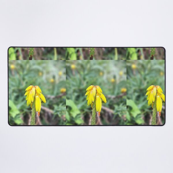 Item preview, Yellow field flower wildflowers  photography designed and sold by Coolparrotgirl.