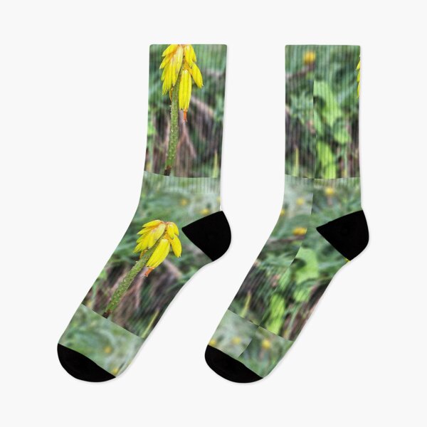 Item preview, Yellow field flower wildflowers  photography designed and sold by Coolparrotgirl.
