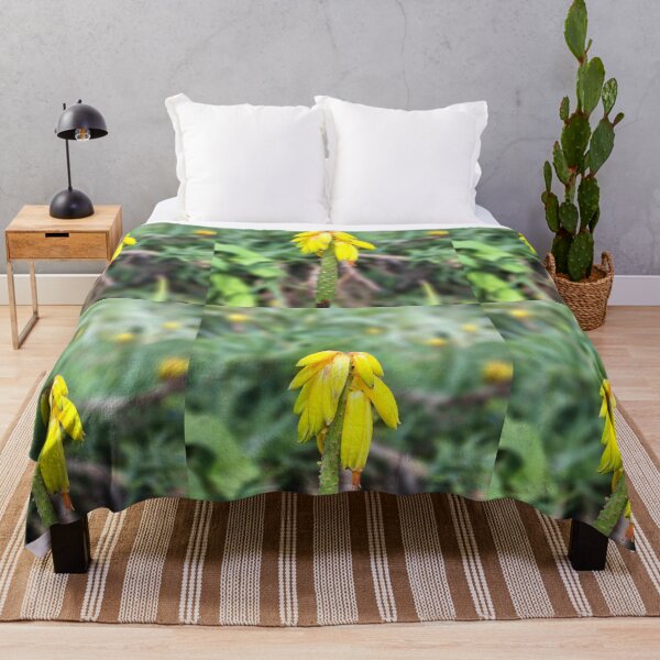 Item preview, Yellow field flower wildflowers  photography designed and sold by Coolparrotgirl.