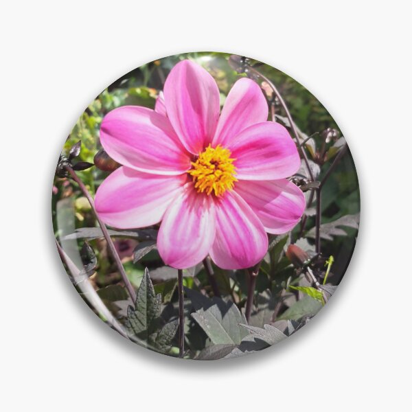 Item preview, Pink field flower wildflowers  photography designed and sold by Coolparrotgirl.