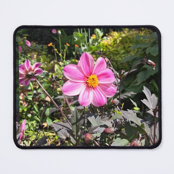 Item preview, Pink field flower wildflowers  photography designed and sold by Coolparrotgirl.