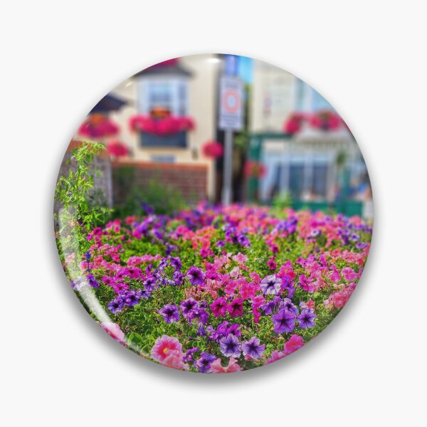 Item preview, Flowerbed in Deal Kent county,  photography designed and sold by Coolparrotgirl.