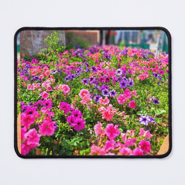 Item preview, Flowerbed in Deal Kent county, photography designed and sold by Coolparrotgirl.