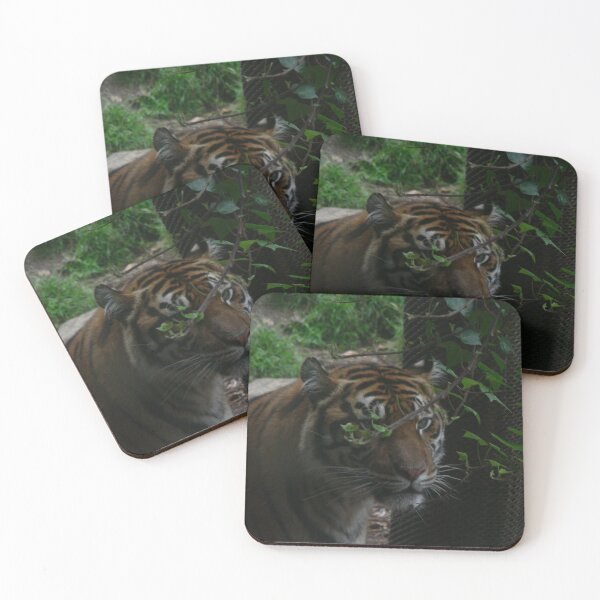 Item preview, Tiger 006 designed and sold by pasta26mc.