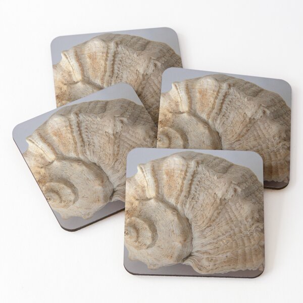 Item preview, A delicate seashell  designed and sold by OrsalArt.