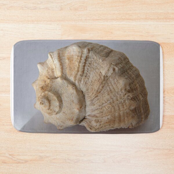 Item preview, A delicate seashell  designed and sold by OrsalArt.