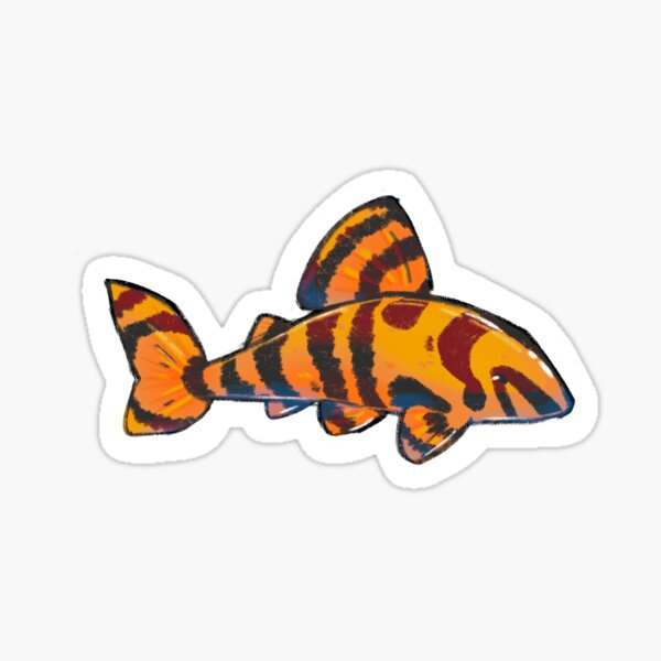 Vista previa del artículo con la obra «Pleco tigre», diseñado y vendido por FrogHattDesignz.