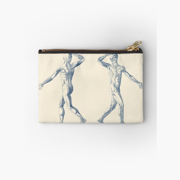 Item preview, Human Muscular System - Dual View - Vintage Anatomy designed and sold by VAposters.