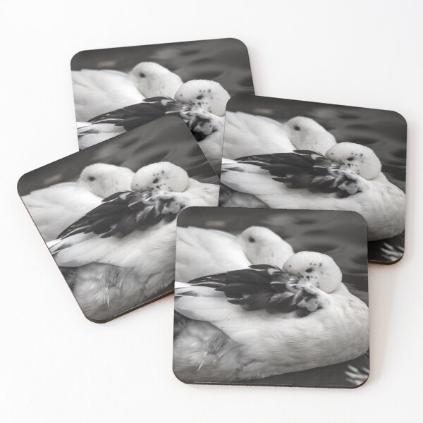 Item preview, Afternoon Duck Nap designed and sold by CarolM.