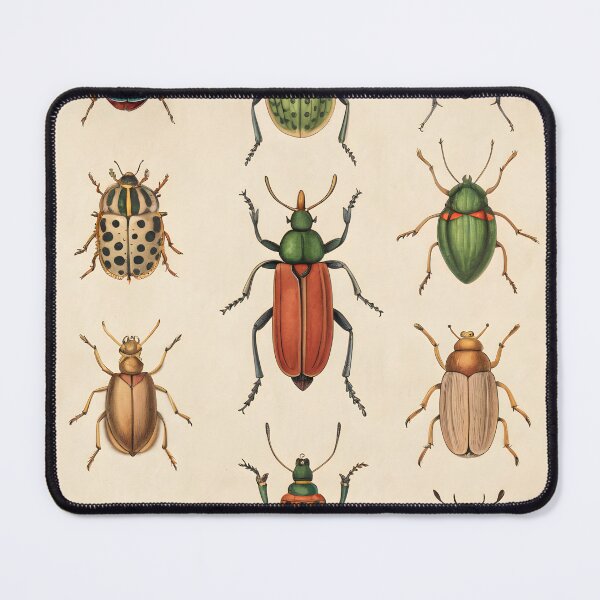 Item preview, antique vintage botanical poster with bugs designed and sold by DuskTillDown.