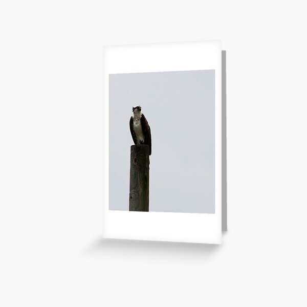 The Sentinel In the Storm Greeting Card