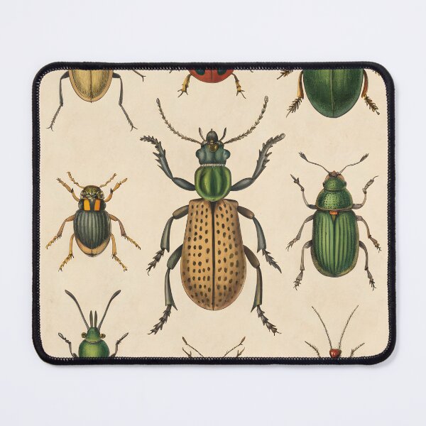 Item preview, antique vintage botanical poster with bugs designed and sold by DuskTillDown.
