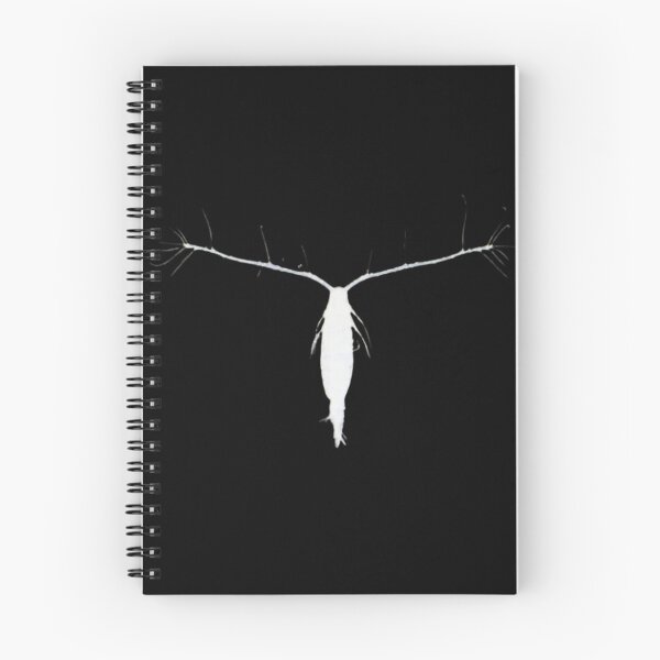 Item preview, Copepod Silhouette (White) designed and sold by Marine Wonders.