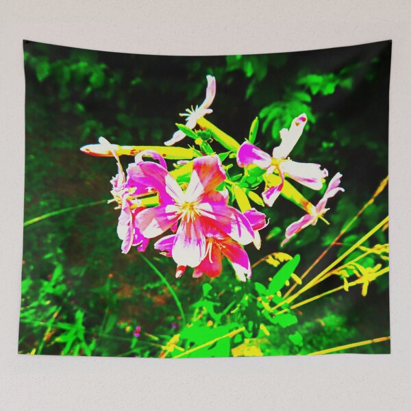 Item preview, Bathed in Sunlight designed and sold by Elinda96.