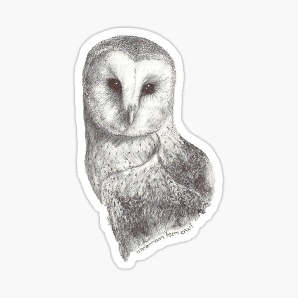 Uncommon Barn Owl Sticker