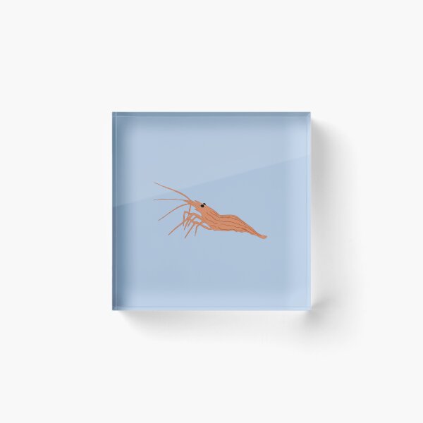 Item preview, Shrimp! designed and sold by catchicadesign.