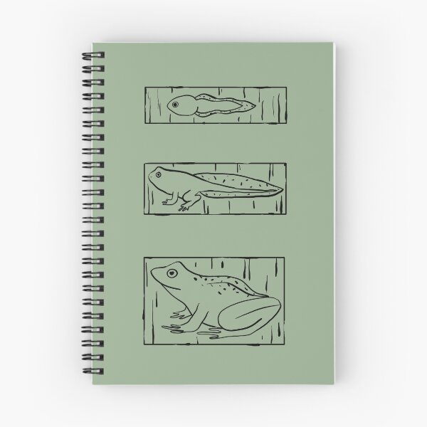 Item preview, Frog Life Cycle designed and sold by catchicaco.