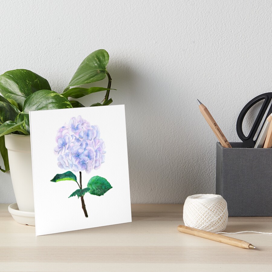" blue purple pink hydrangea" Art Board Print for Sale by ColorandColor