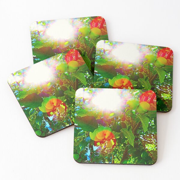 Item preview, Photosynthesis designed and sold by Elinda96.
