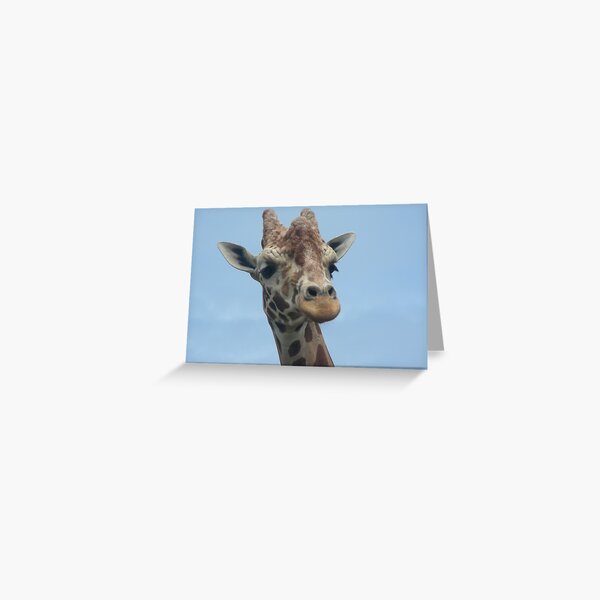 Item preview, Giraffes 011 designed and sold by pasta26mc.