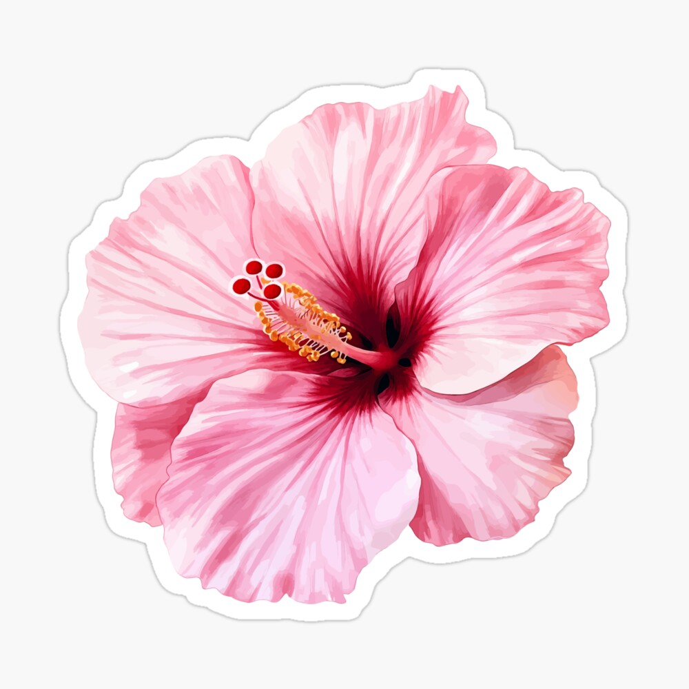 Hibiscus Flower Poster