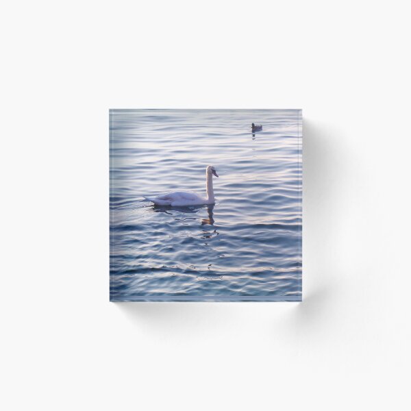 Item preview, Swimming with Swans designed and sold by Elinda96.