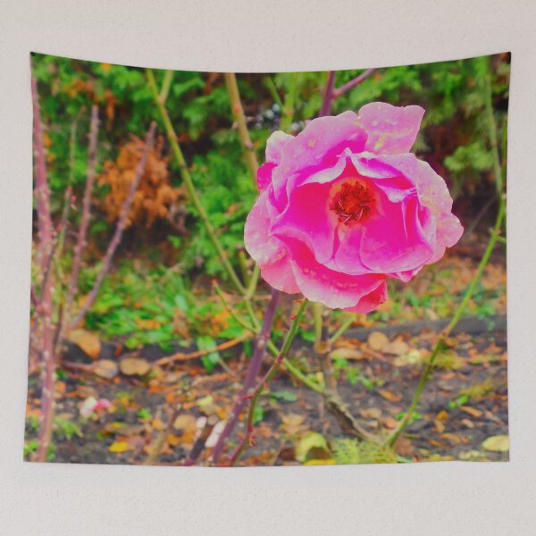 Item preview, Brighter After Rain designed and sold by Elinda96.