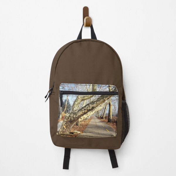 Item preview, Treble Trunks Leaning Over Pavement and Bike Road designed and sold by Gaboro.