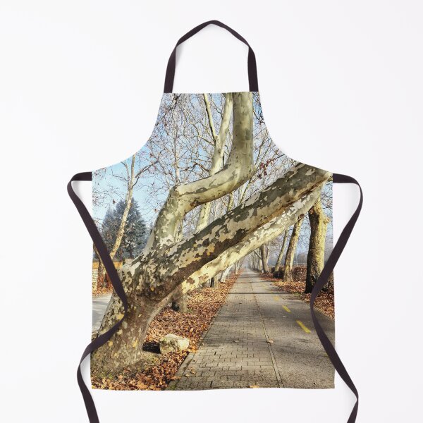 Item preview, Treble Trunks Leaning Over Pavement and Bike Road designed and sold by Gaboro.