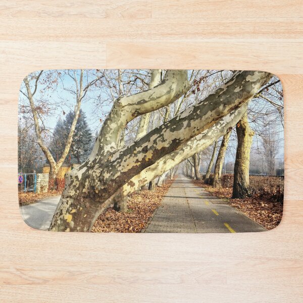 Item preview, Treble Trunks Leaning Over Pavement and Bike Road designed and sold by Gaboro.