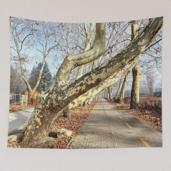 Item preview, Treble Trunks Leaning Over Pavement and Bike Road designed and sold by Gaboro.